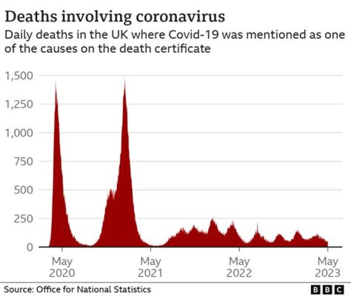 HollywoodLife Readers Reveal Fears About COVID-19 & How Pandemic Has Upended Their Lives