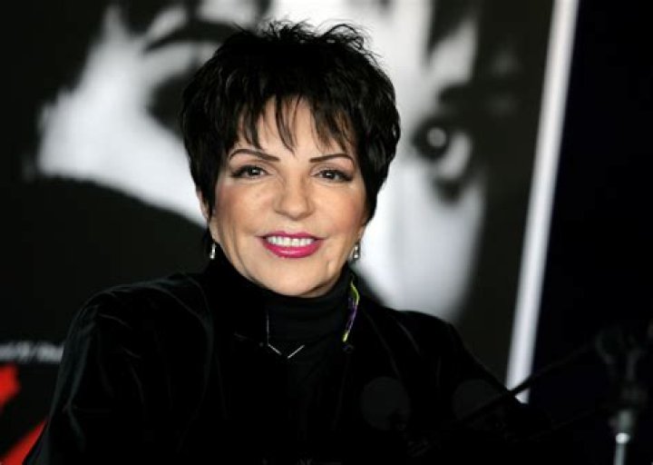 Liza Minelli, 76, Looks So Happy While Singing In A Car Before The Oscars: Video