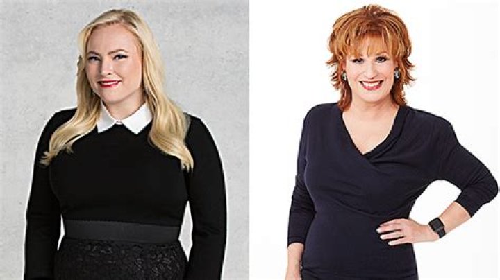 Meghan McCain Calls Joy Behar ‘Snippy’ On ‘The View’ During Fight – Hollywood Life