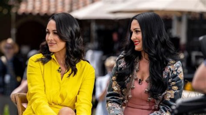 [WATCH] The Bella Twins Reveal All About Their Boys, Boobs & ‘Total Divas’ – Hollywood Life