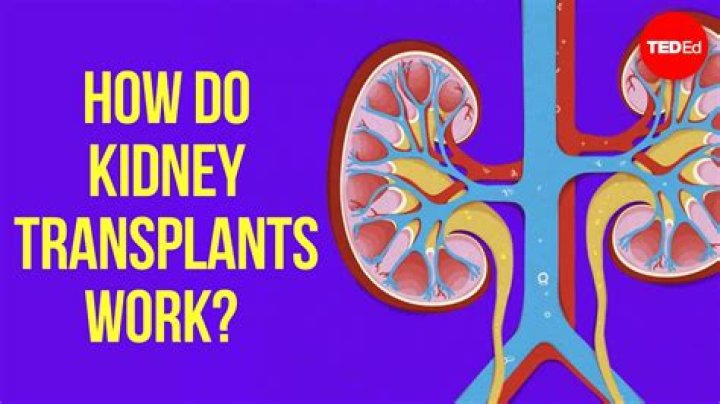 Why Sarah Hyland Is Smart To Self-Quarantine After Kidney Transplants — It’s ‘Critical,’ Doc Explains
